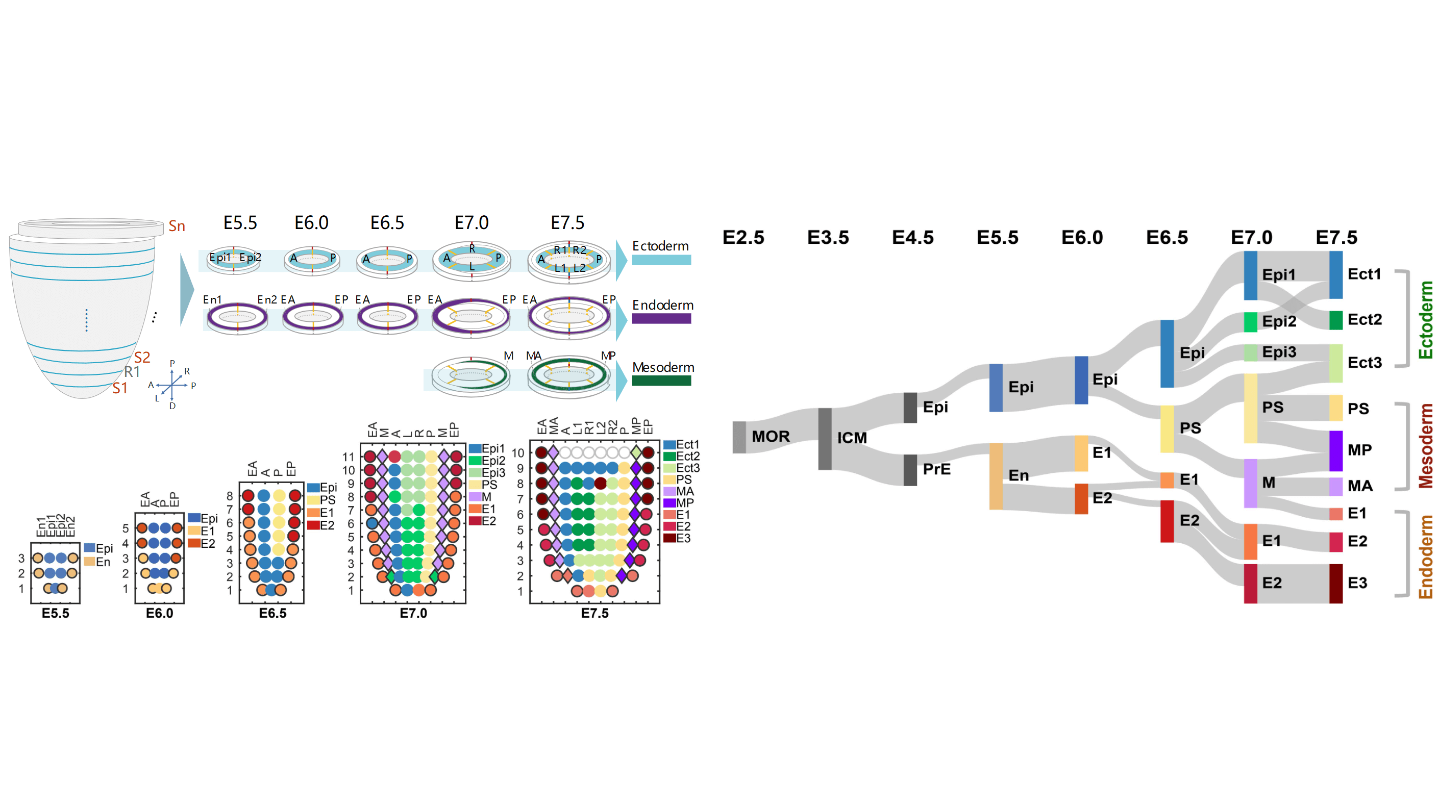 Research Figure 1